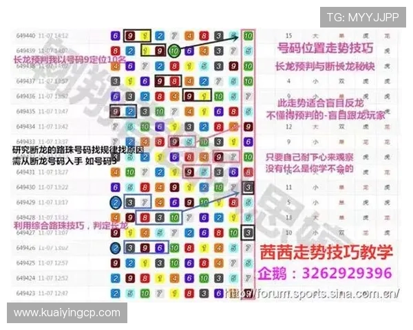 极速飞艇玩法解析与投注技巧全面指南助你稳赢赛道竞速体验
